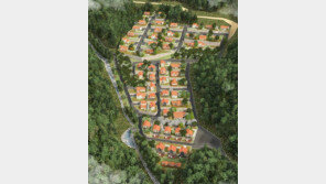 선임대 후분양 전원주택 ‘양평 라비누벨삼성빌리지’