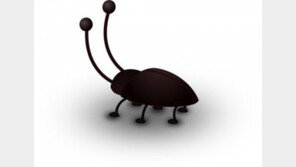 한 해 60억 마리 ‘쑥쑥’,  中 최대 바퀴벌레 사육장…“유출되면 재앙”