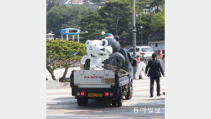 [고양이 눈]나를 잊지 말아요