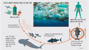 플라스틱 쓰레기, 돌고돌아 결국 식탁까지 위협