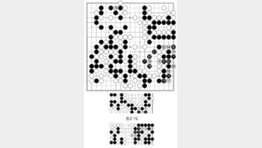 [바둑]알파고 vs 알파고 특선보… 물러설 수 없는 흑