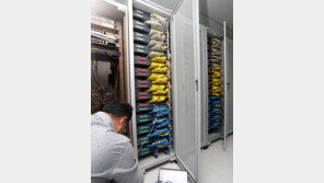 [스마트 컨슈머]앱 켜면 백신 프로그램…모바일 보안 시스템 강화