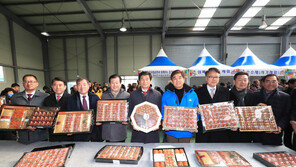[2018 대한민국 대표브랜드/지리산 산청곶감]청정 지리산이 품고 키운 최고의 곶감