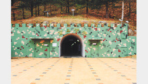 [2018 대한민국 대표브랜드/양구군]‘생태-문화-안보’…3대 관광 자원 모두 갖춰