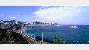 [2018 한국의 사회공헌 대상/지역사회복지 부문]동해시, 사회공헌 활동 선도…지자체들 벤치마킹 