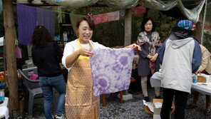 [2018 대한민국 대표브랜드/단양군]품위 있는 귀농귀촌 1번지로 자리매김