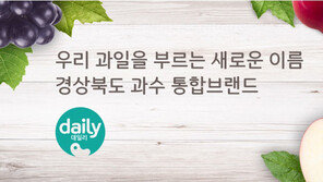 [2018 대한민국 대표브랜드/데일리]최적 품질만 담은 경북 과일 공동브랜드