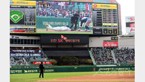 ‘전광판 비디오판독’ 보기 힘든 이유