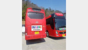 “단양의 명소, 대중교통 타고 둘러보세요”