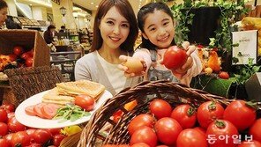 “달걀 모양 토마토 나왔어요”
