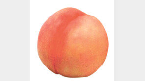 아이스크림-젤리-음료-탄산수까지… 복숭아, 벌써 제철 만났나