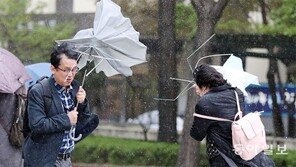 우산도 두 손 든 봄비의 심술