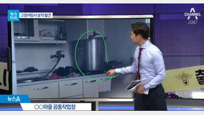 ‘농약 고등어탕’ 60대 女용의자 구속…부녀회장 그만둔 후 무슨일이?