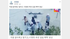 표창원, ‘조양호 부인’ 이명희 추정 동영상 비판 “상습 폭력, 가중처벌”