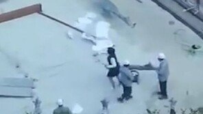 정의당 “이명희 추정 ‘갑질 동영상’ 충격…족벌경영체제 적나라한 민낯”