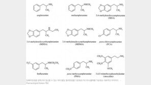 ‘박봄 밀수입’ 암페타민의 정체?…메틸기(CH3) 하나만 붙이면 ‘필로폰’