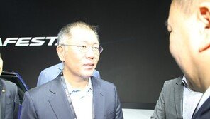 모터쇼 방문한 정의선 현대차 부회장, 中 시장 신차효과 기대… 올해 목표 달성 자신
