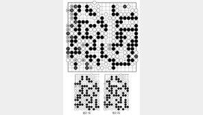 [바둑]알파고 vs 알파고 특선보… 피할 수 없는 운명