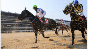 경마 책임성·윤리경영 강화…한국마사회, 조직 개편 단행