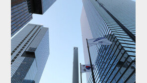 금감원 “지배구조 개선해야”… 삼성 연달아 흔드는 정부여당