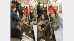 지하철 좌석 앉은 반려견 밀친 女 승객, 핏불테리어에 공격 당해