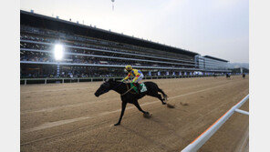 천지스톰 vs 흥룡…1등급 장거리 최강마 가린다