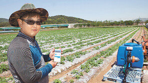 SKT, 오리온-벤처 손잡고 감자농가에 스마트팜 적용