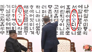“‘ㅁ·ㄱ’ 강조” 문재인 대통령 깨알 설명에 김정은 “세부까지 마음 썼다” 화답