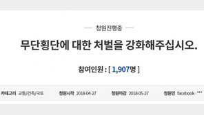 “무단횡단 책임 물어야” 광주 쌍촌동 교통사고 靑청원 첫날 1900여명 동의 