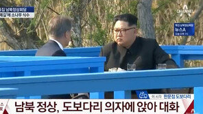文 대통령·김정은 위원장 친교 산책 ‘도보다리’, 왜 만들었나 했더니? 