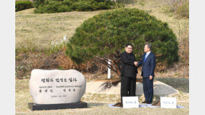 “김정은 자신감 넘쳤지만… 200여m 걷고는 가쁜 숨 내쉬기도”