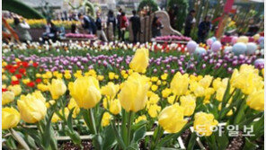 [날씨]낮 최고기온 19~30℃ ‘초여름’ 날씨…미세먼지 ‘나쁨’