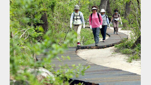 대전 식장산, 숲 정원으로 꾸며진다