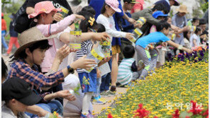 함평 나비축제 성황