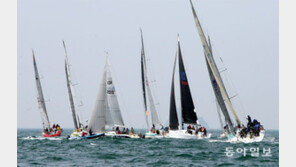부산 수영만 국제요트대회