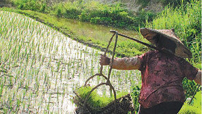 붐비는 카페서 홀로 앉는 사람은 밀 농사꾼 후손?