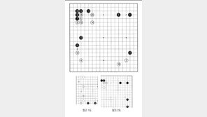 [바둑]알파고 vs 알파고 특선보… 낡은 듯 새로운 듯