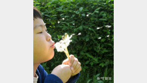 [고양이 눈]어디까지 날아갈까