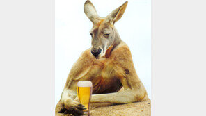 직장인 10명중 4명 ‘더블케어족’…월 평균 지출 비용은?