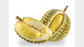 “어디서 가스 냄새가?”, 호주 대학 발칵 뒤집은 열대과일 ‘두리안’