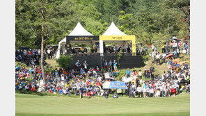 ‘치맥’과 함께하는 교촌치킨의 맛있는 골프