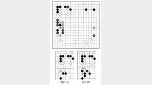 [바둑]알파고 vs 알파고 특선보… 도전과 응전