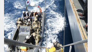 문무대왕함, 아프리카 피랍 선원 3명 귀환작전