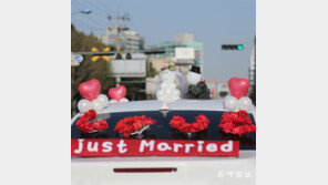 [고양이 눈]방금 결혼했어요