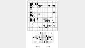 [바둑]알파고 vs 알파고 특선보… 견실함을 좋아하는 알파고