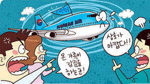 [신문과 놀자!/주니어를 위한 사설 따라잡기]한진 회장 일가의 갑질이 국민적 분노를 사는 이유