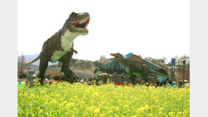 [김재범의 투얼로지] 어린이날 ‘쥐라기 체험’, 어버이날 ‘수목원 걷기’