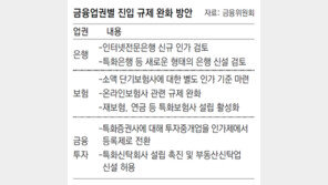 “인터넷은행 추가 인가 검토… 펫보험 등 미니보험사도 활성화”