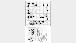 [바둑]알파고 vs 알파고 특선보… 백의 ‘빅 픽처’