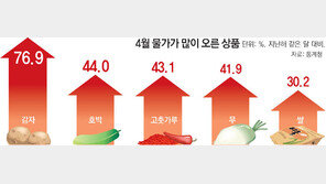 밥상차리기 겁나네… 감자값 77% 껑충